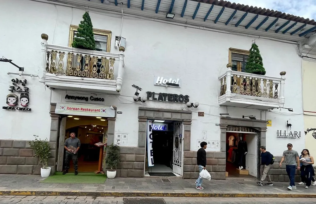 Hotel Plateros-1