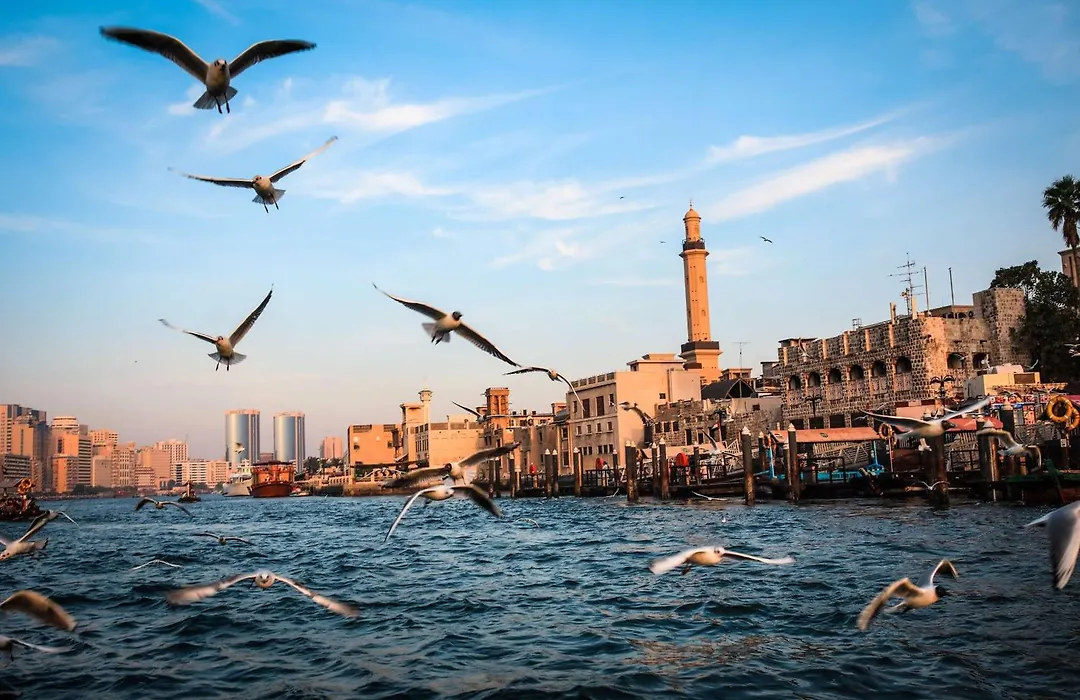 Rove City Centre, Deira-1