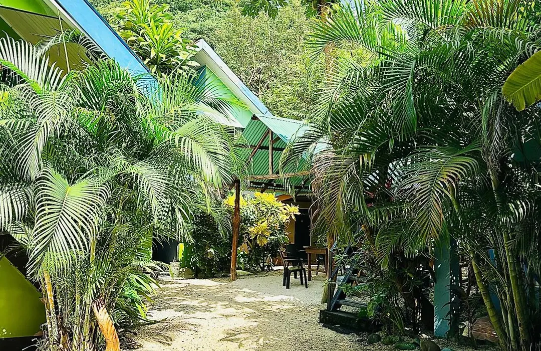 Surf Paradise-1