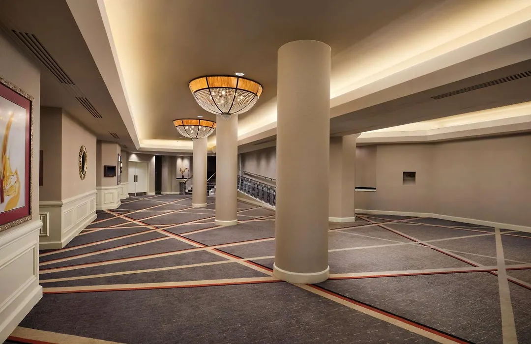 Hilton Arlington-1