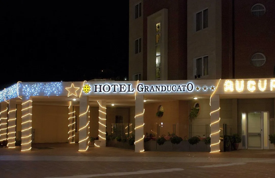 Hotel Granducato-1