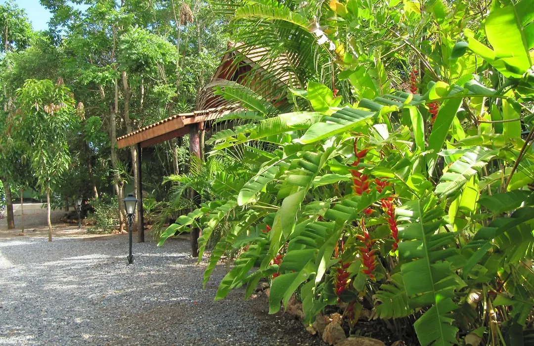 Eco Pousada Villa Verde-1