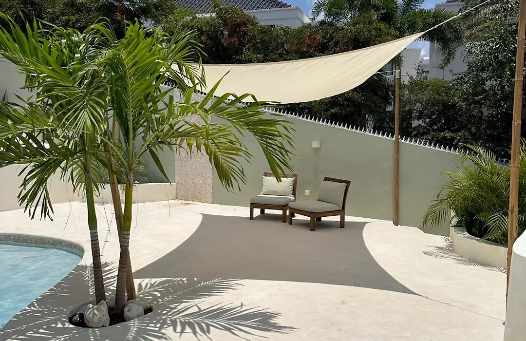 Palm View-1
