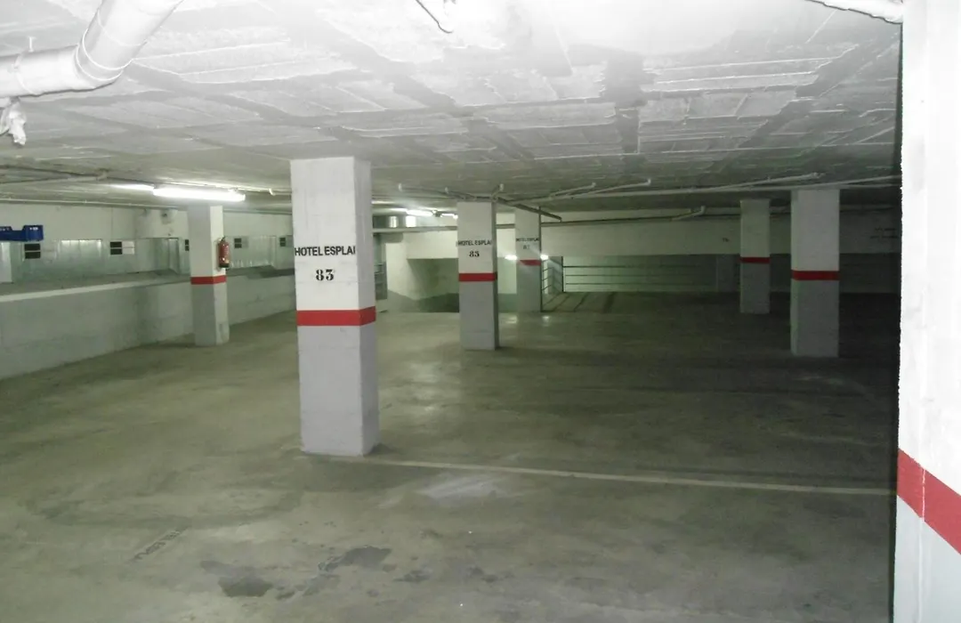 Hotel Esplai-1