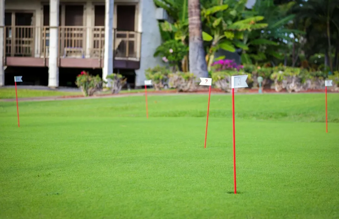 Aston Maui Hill-1