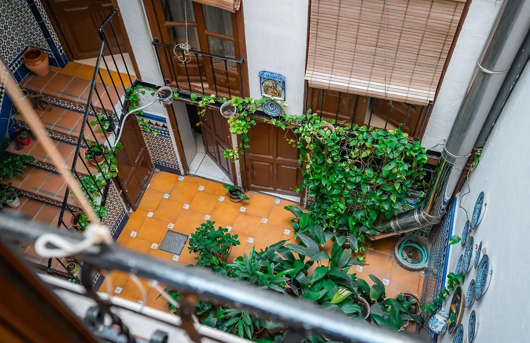 Veronica Centro-1
