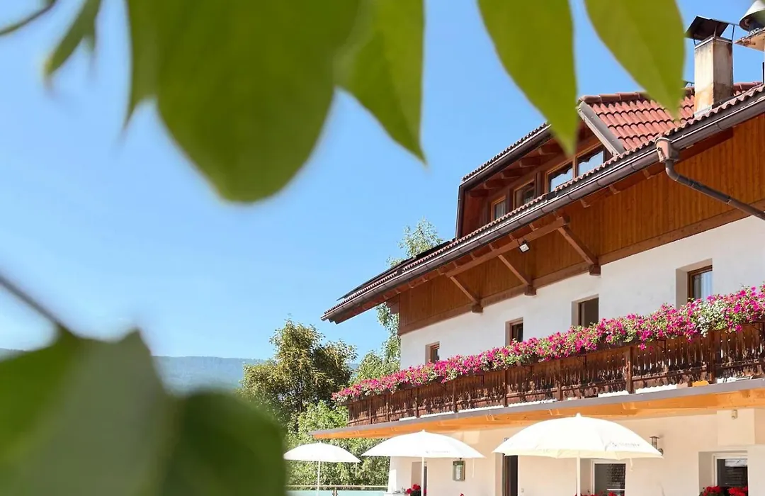 Pension Wirt Am Bach-1