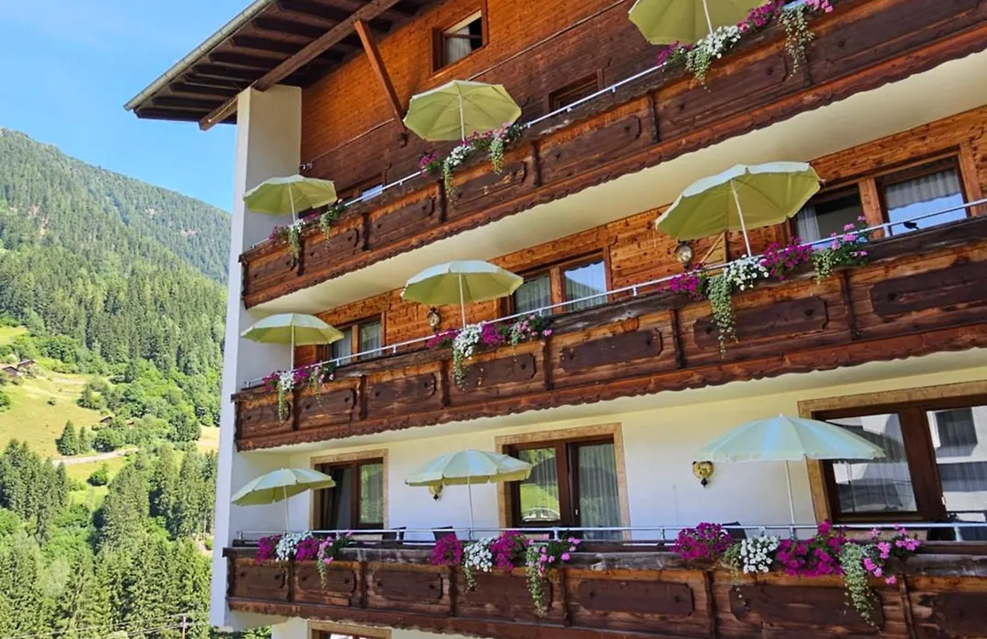 Hotel Buckelhof - See - Free Liftpass Summer-1