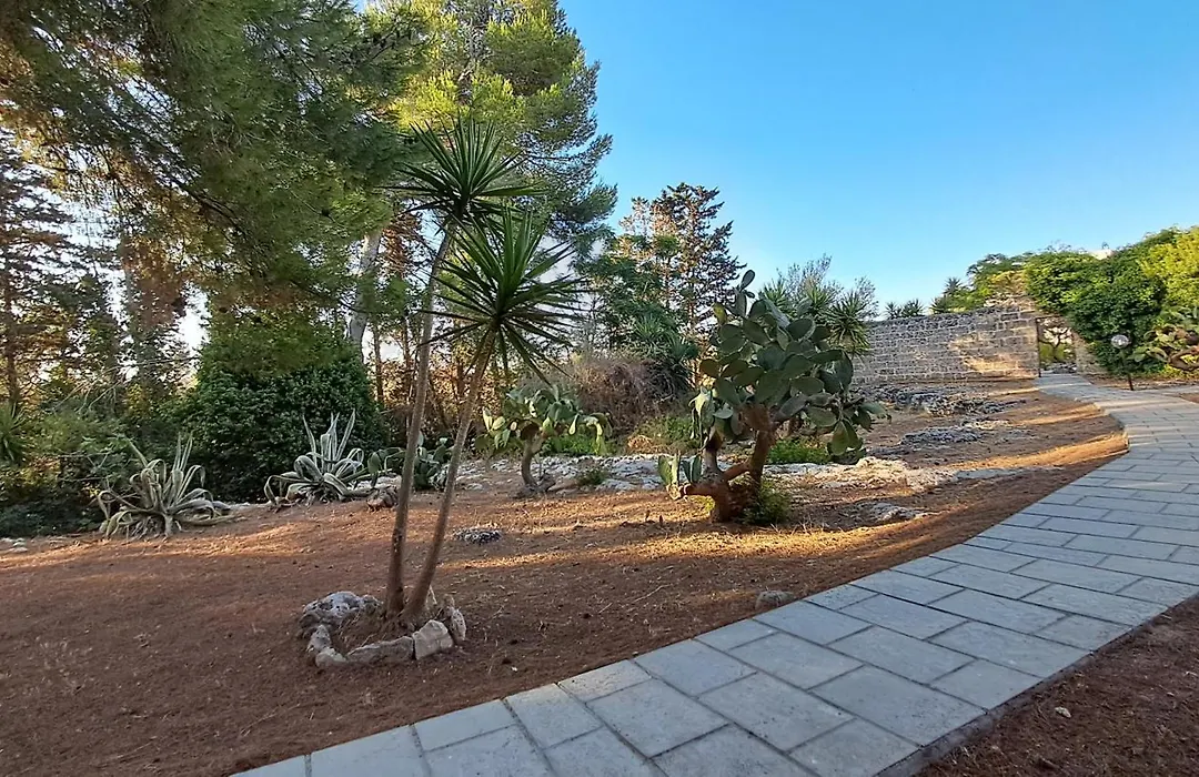 Masseria Artemisia-1