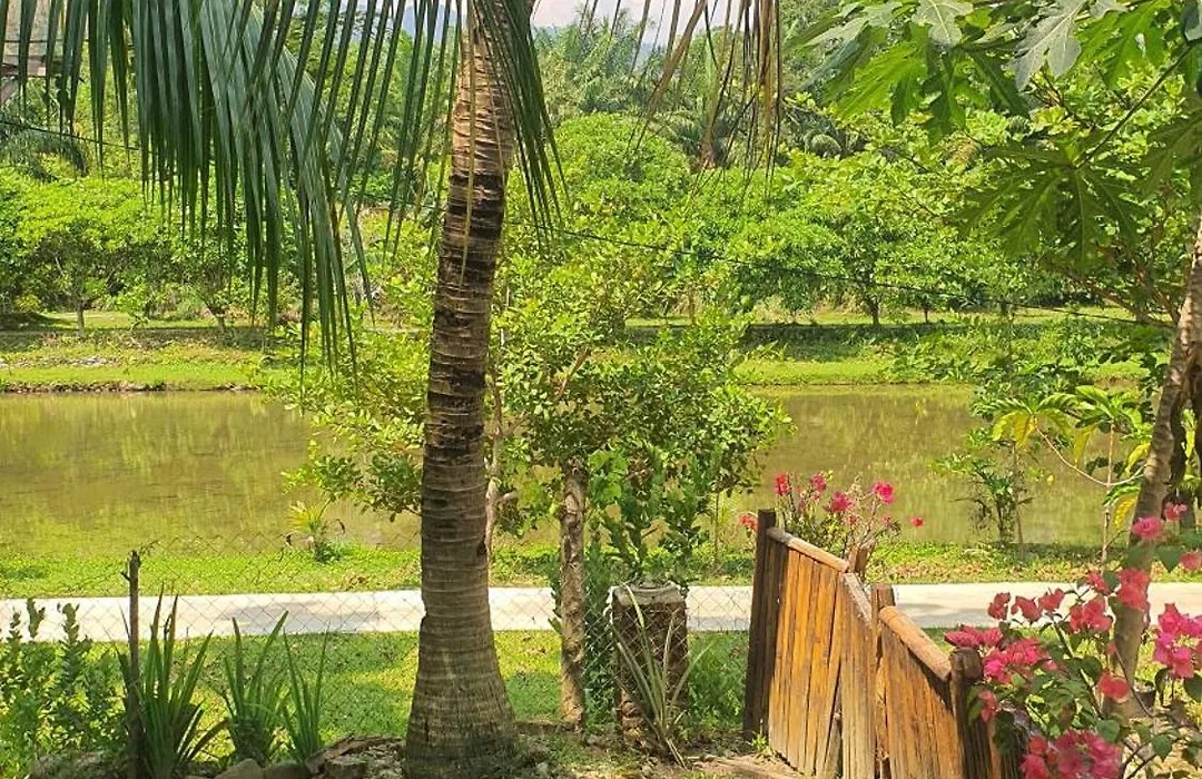 Sumatra Cheeky Monkeys-1