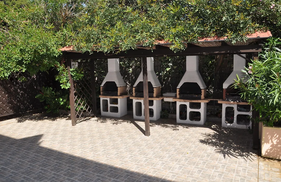 Palm Village-1
