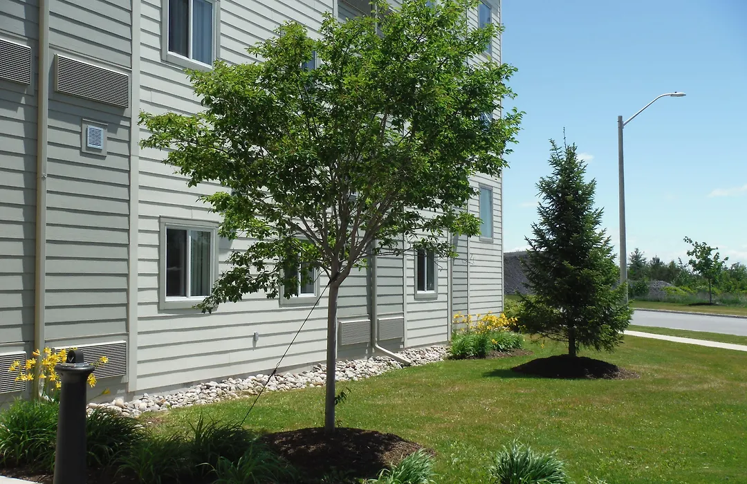Motel 6-Kingston, On-1