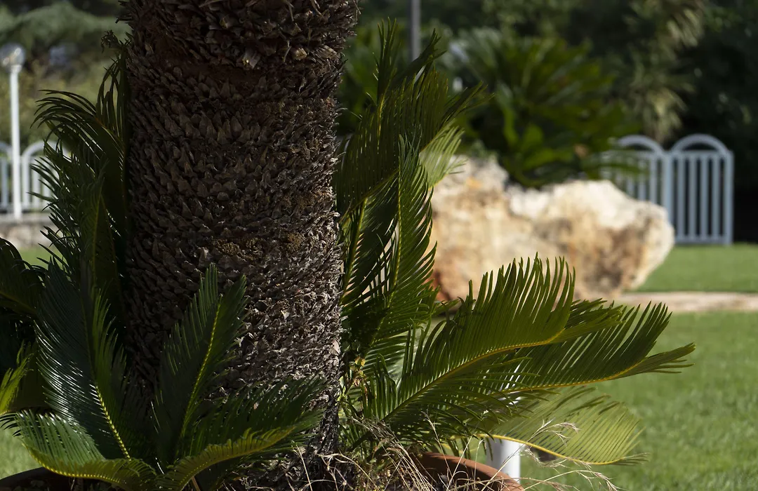 Corallo Eco Wellness Hotel-1