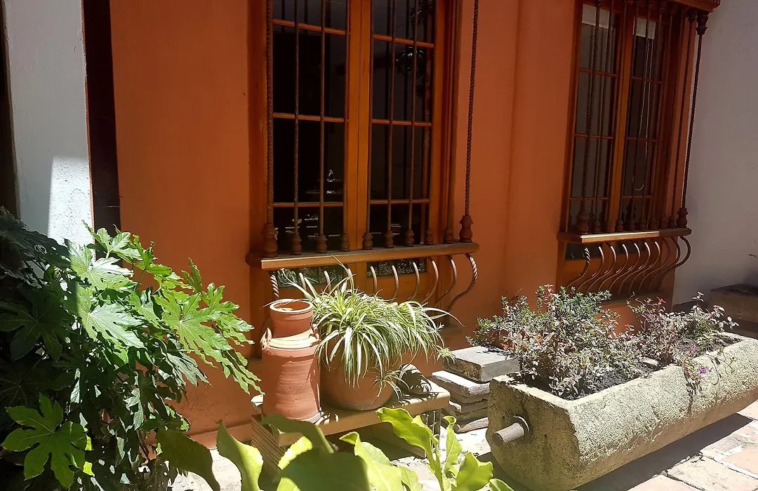 Apartaestudios La Candelaria-1