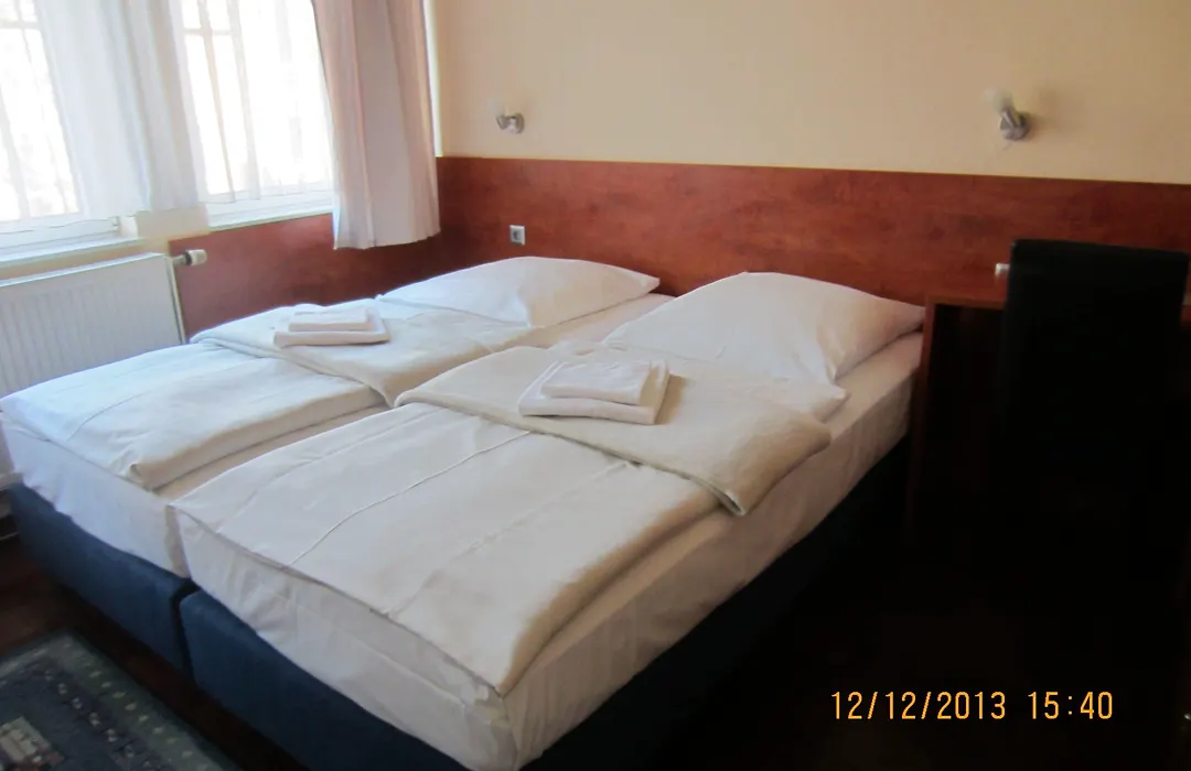 Altstadt Hotel Rheinblick-1