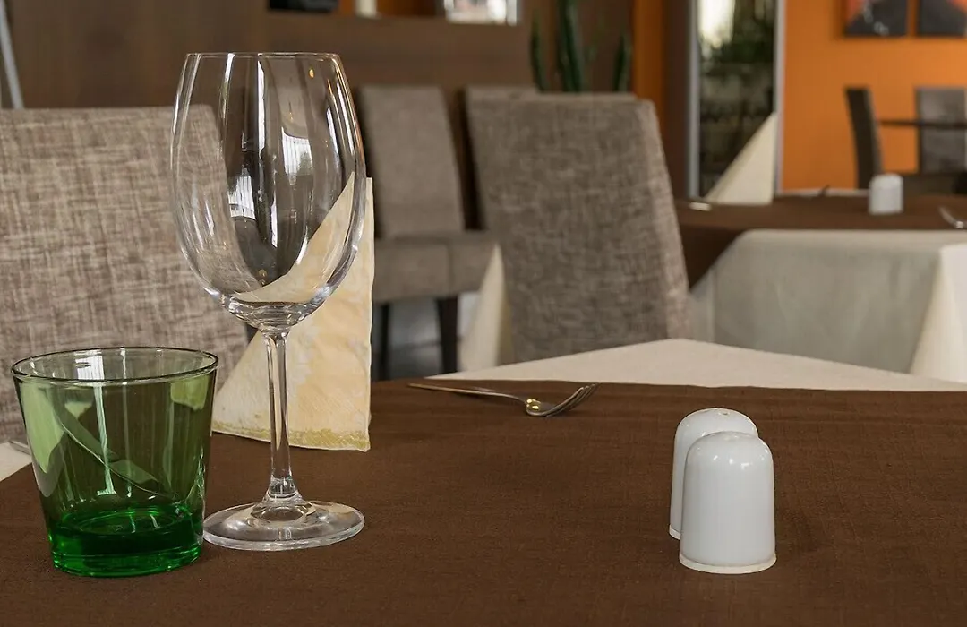 Hotel Lions Plzen-1