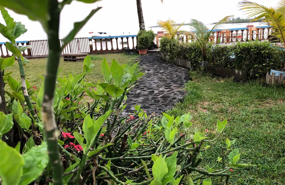 Coco Villa-1