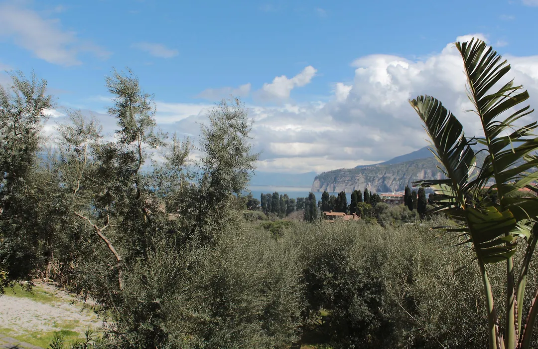 Casa Athena-1