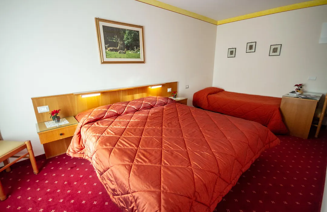 Hotel Stella Alpina-1