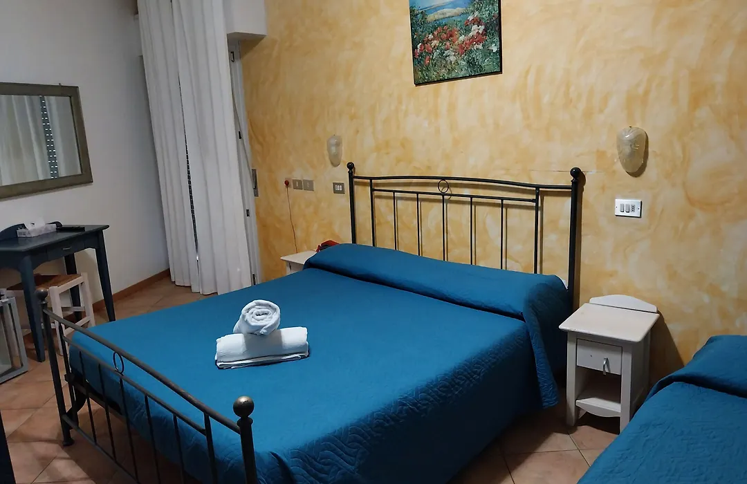 Hotel Carol-1