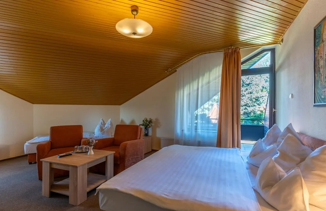 Hotel Molnár-1
