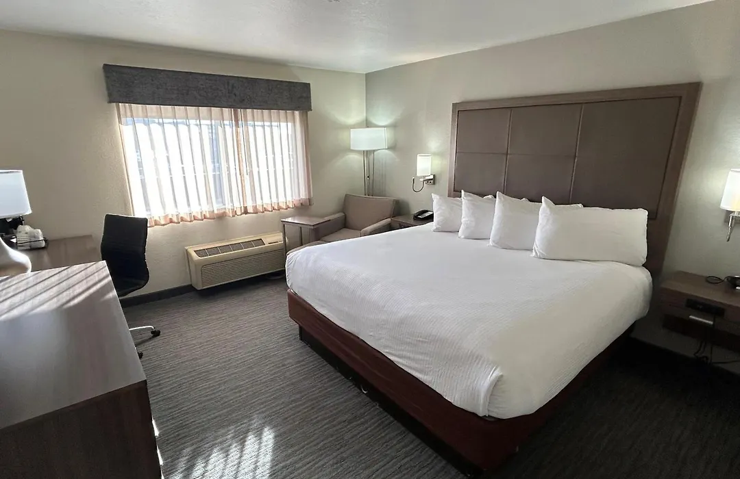 Best Western Plus Paper Valley Hotel-1
