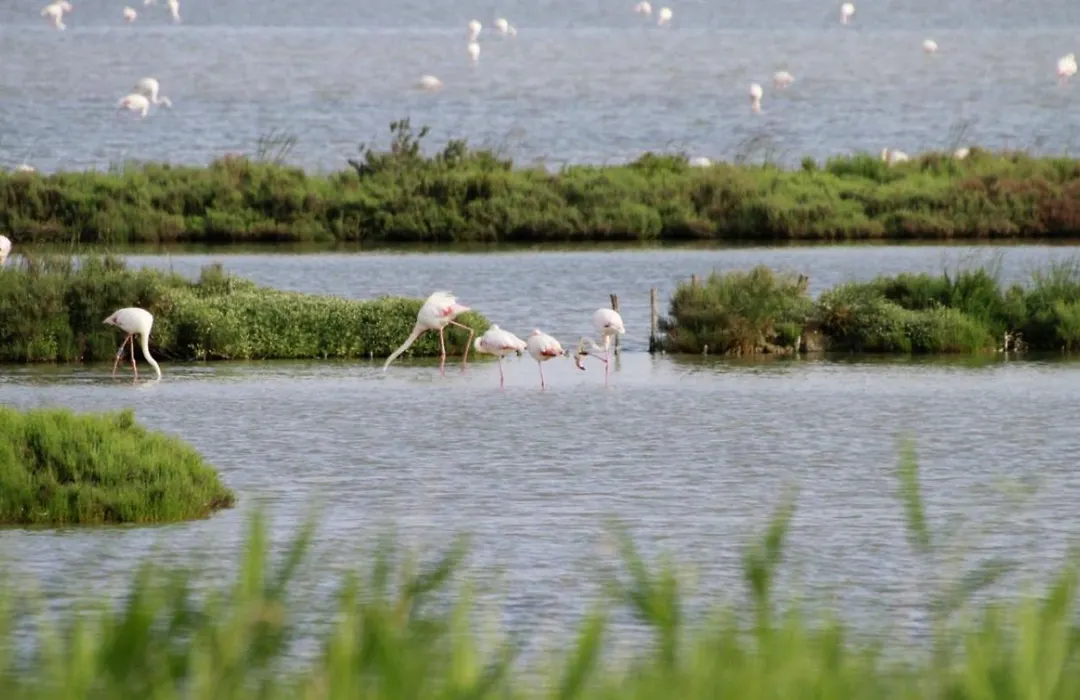 Gran Delta River & Nature Hotel-1