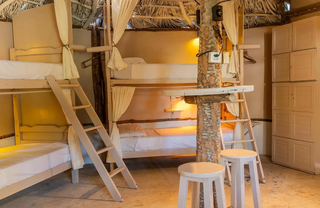 Treehouse Kitecamp Jericoacoara-1