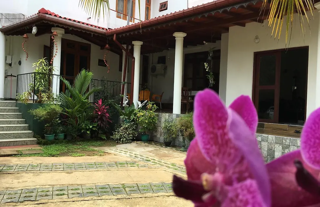Hanthana Jungle View Holiday Home-1