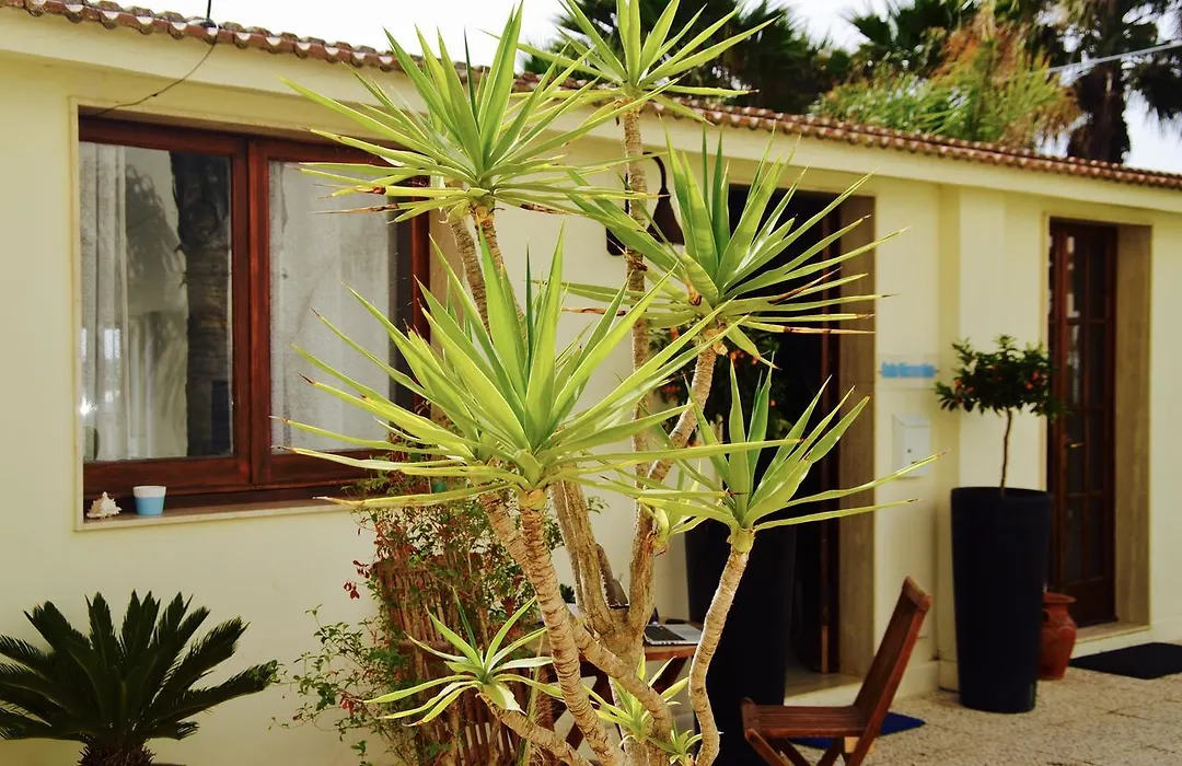 Caposud Residence And Beach Club-1