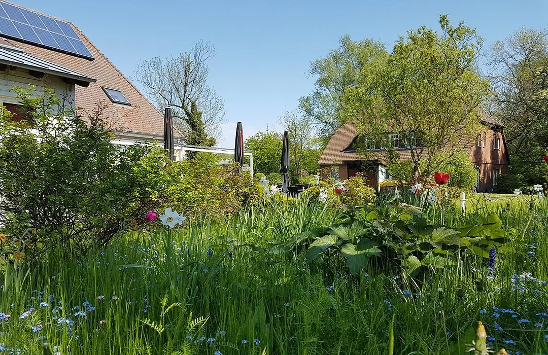 Hotel Alt Wittower Krug-1