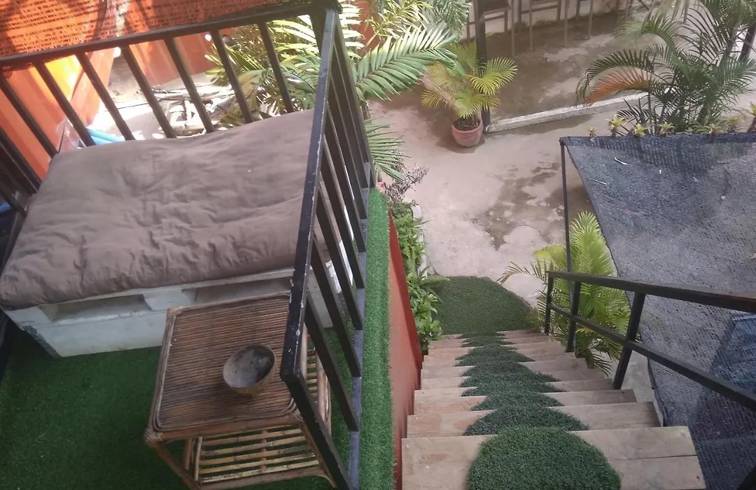 Jurassic Garden-1