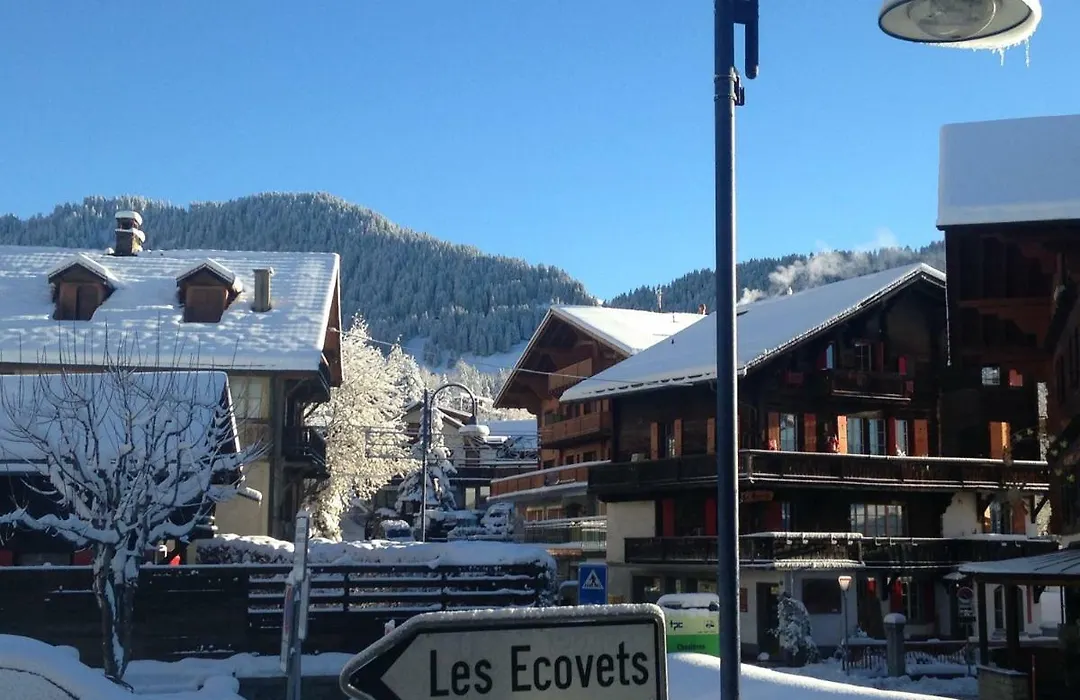 Chalet la Griotte-1
