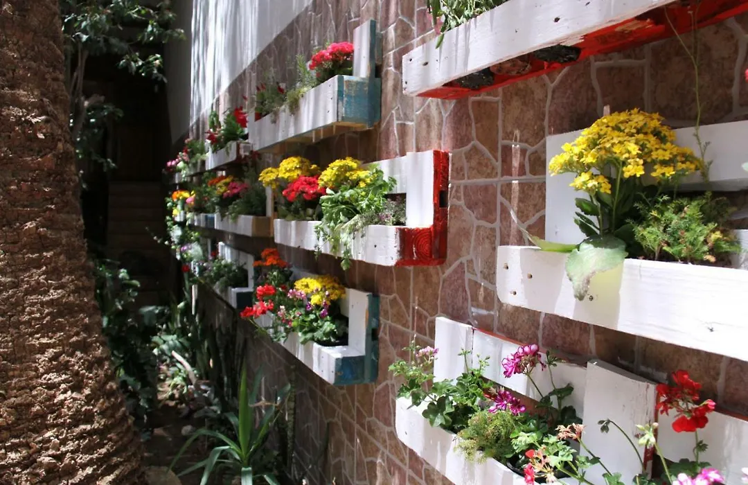 The Garden Hostel Las Palmas-1