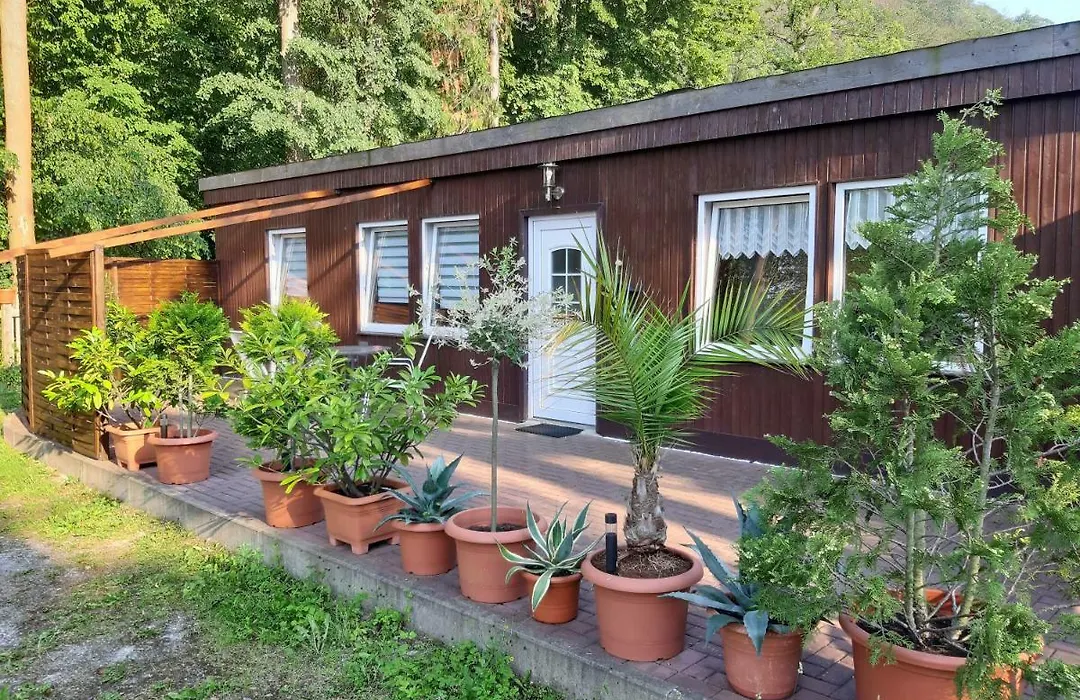 Alte Waldmühle-1