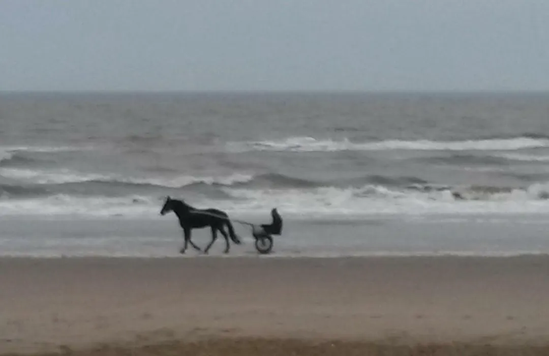 B&B Noordwijk Binnen-1