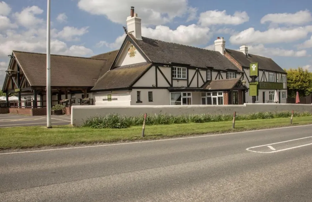 The Plume Of Feathers-1