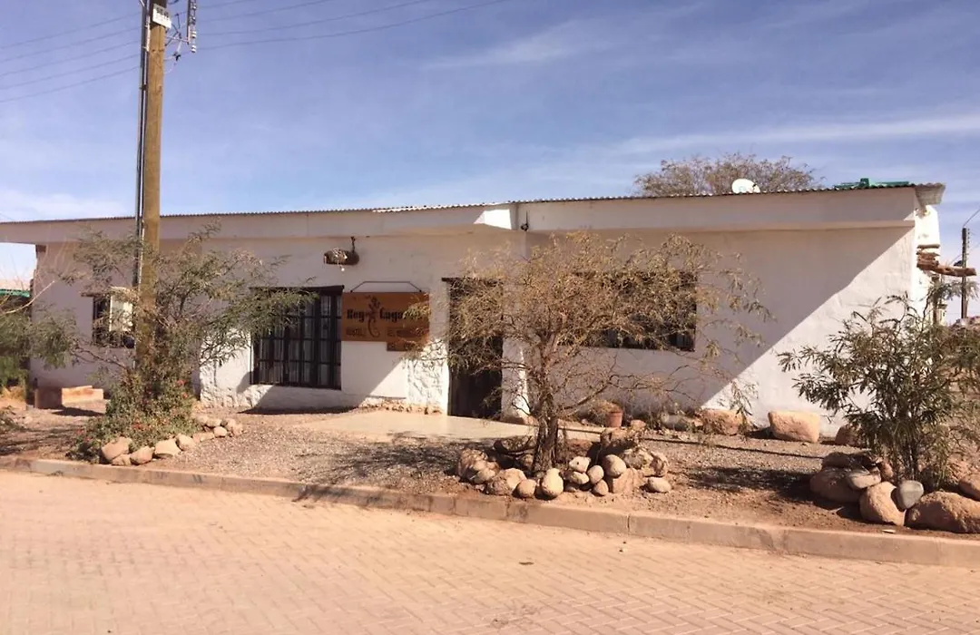 Rey Lagarto Hostel-1