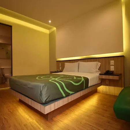 Hotel Lirio - Adult Only-2