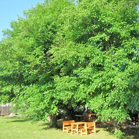 Pod Orehi-3