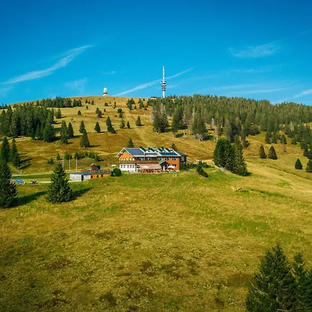 Berggasthof zur Todtnauer Hütte-3