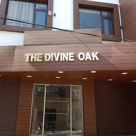 The Divine Oak-3