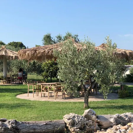 B&B Le Cicale-3