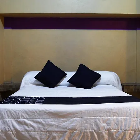 Hotel Platino-3