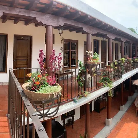 Hotel Mansion Del Rey-2