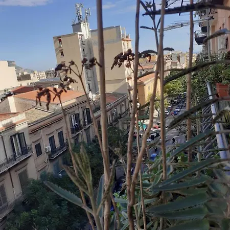Bbx Palermo-2
