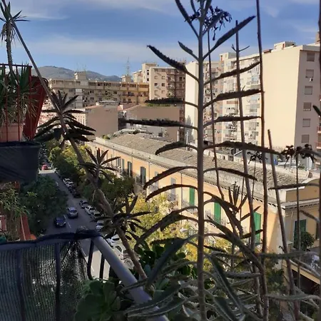 Bbx Palermo-3