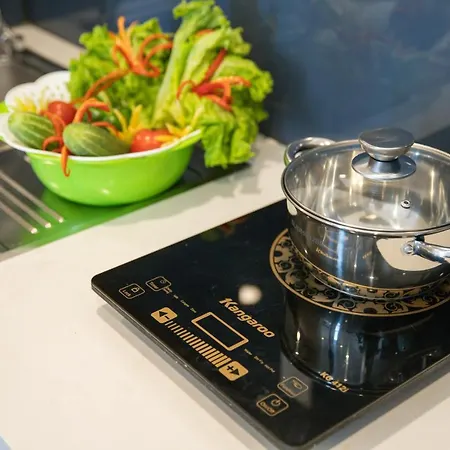 Delfinol Hotel & Apartment Da Nang-3