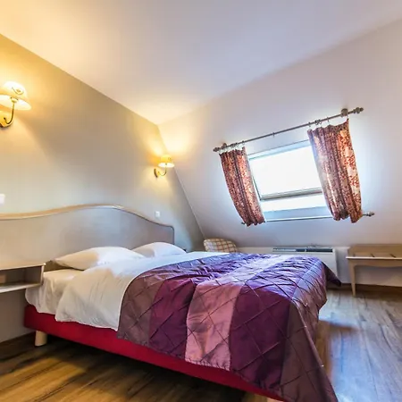 Hôtel Au Lion-3