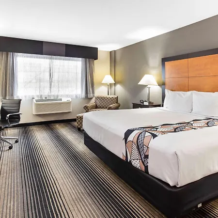 Best Western Plus Hyde Park Chicago Hotel-2